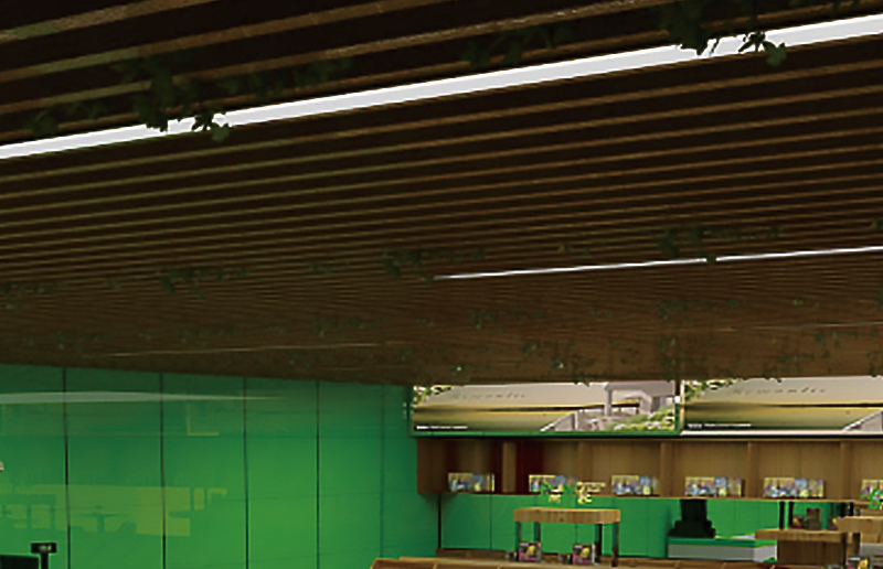 LG05BN LED Batten Fitting